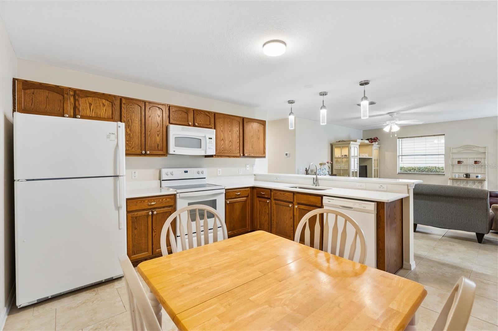 993 DAVIT PL, THE VILLAGES, FL, 32162