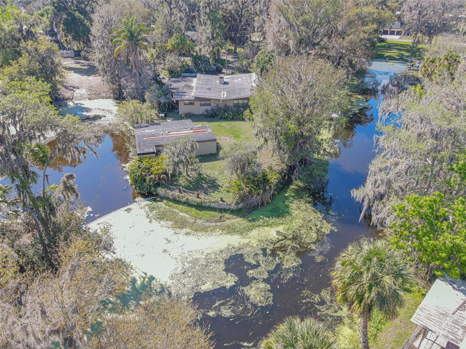 2439 CR 453, LAKE PANASOFFKEE, FL, 33538