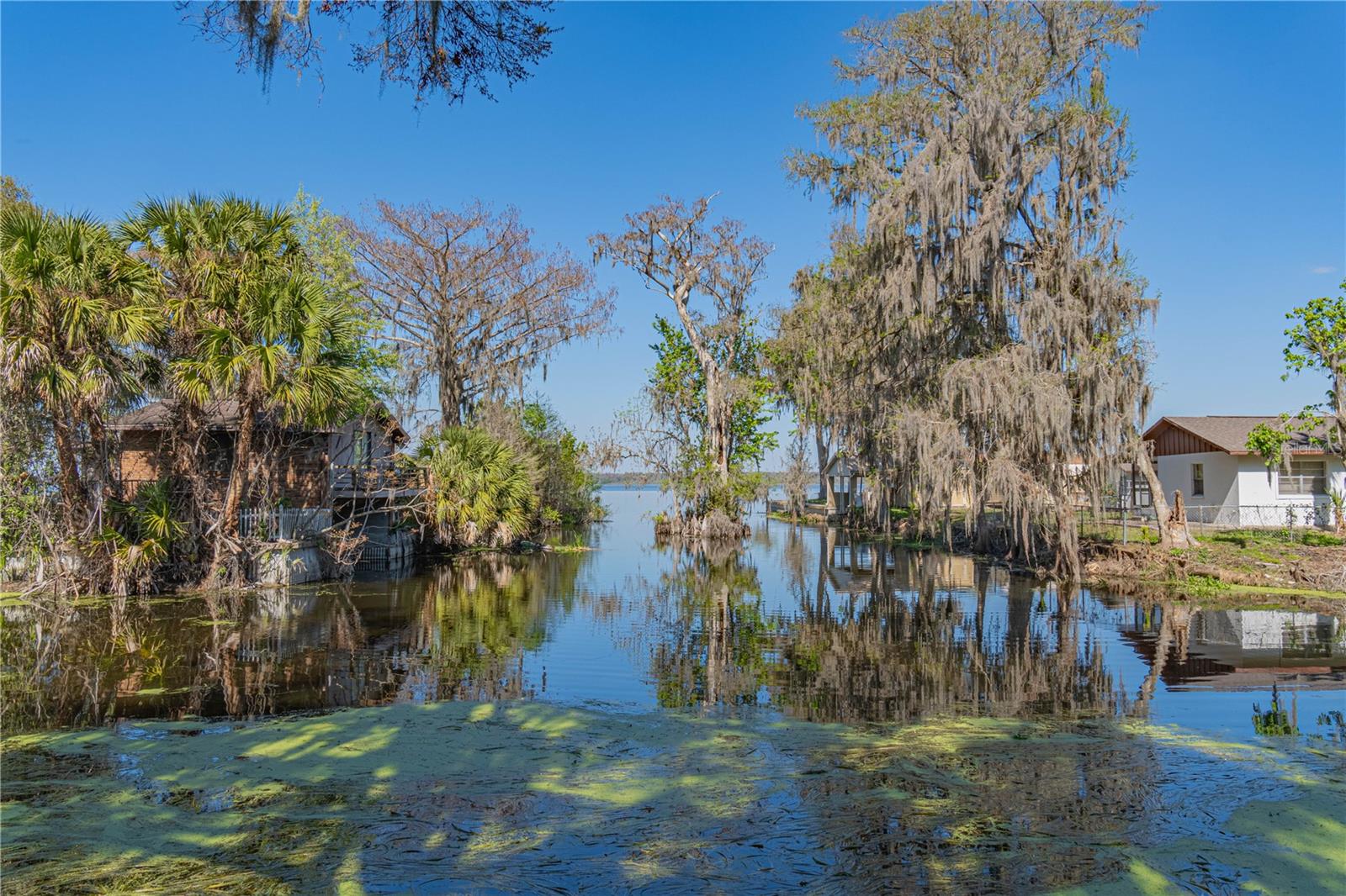 2439 CR 453, LAKE PANASOFFKEE, FL, 33538