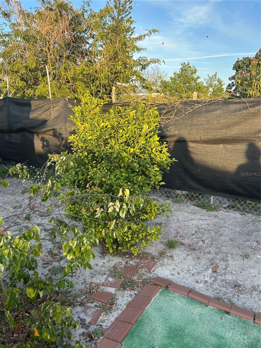 6820 LARMON ST, TAMPA, FL, 33634