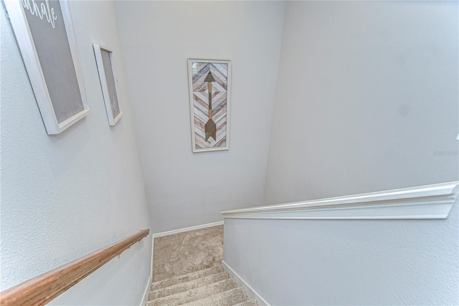 5703 COLONY GLEN RD, LITHIA, FL, 33547