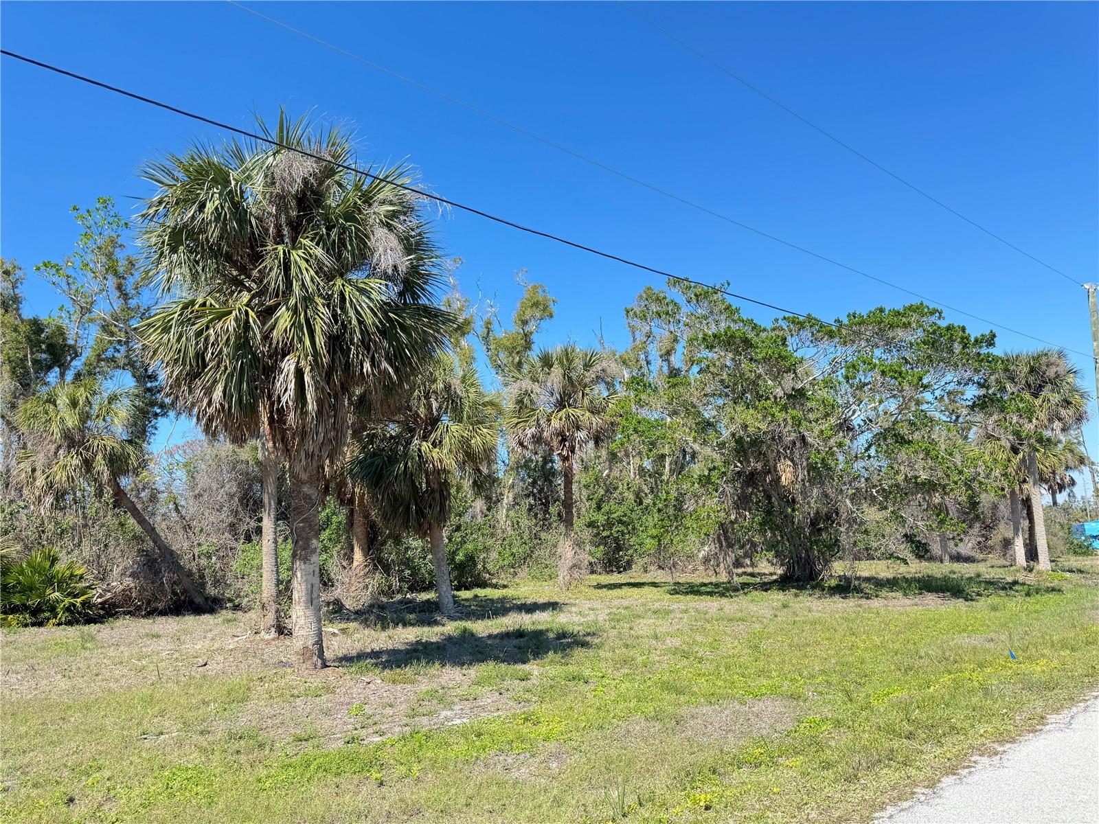 50 COBIA DR, PLACIDA, FL, 33946