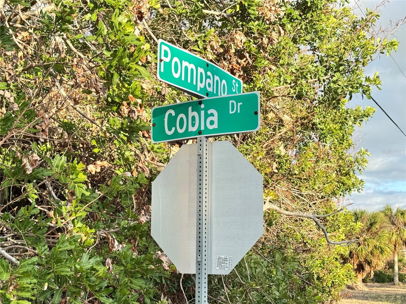 50 COBIA DR, PLACIDA, FL, 33946