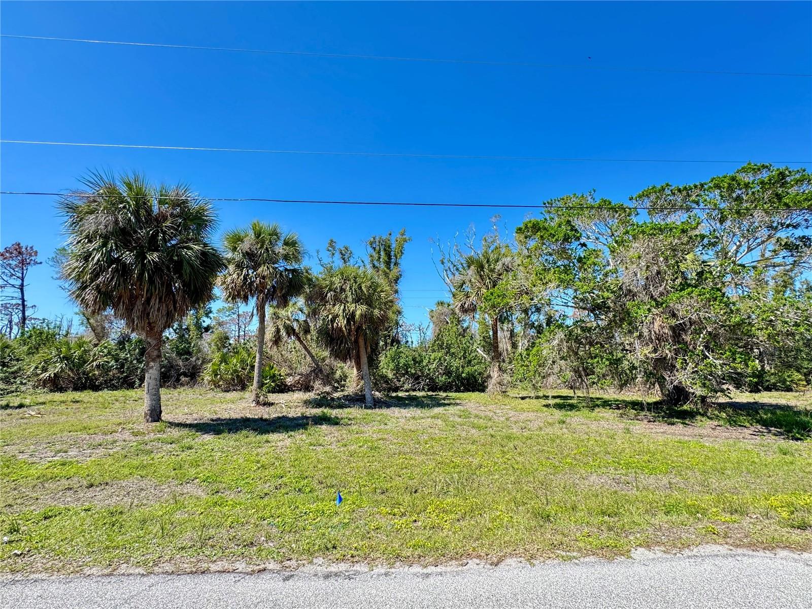 50 COBIA DR, PLACIDA, FL, 33946