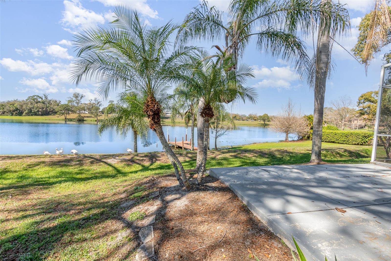 184 DUBLIN DR, LAKE MARY, FL, 32746