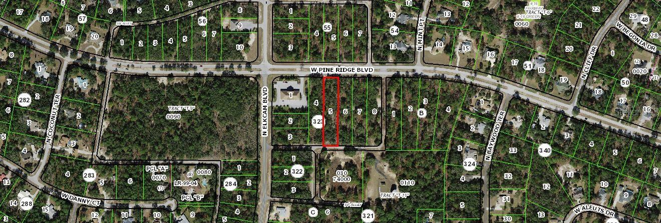 PINE RIDGE, BEVERLY HILLS, FL, 34465