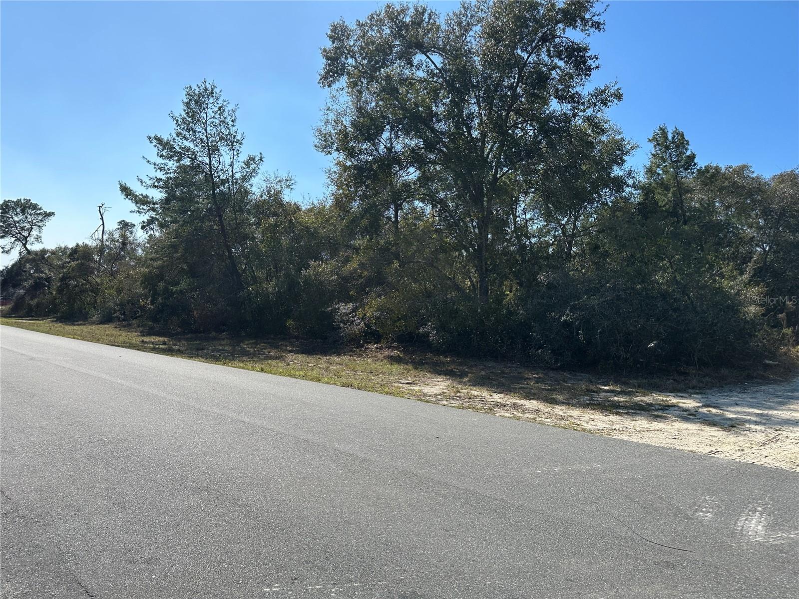 15812 SW 35TH COURT RD, OCALA, FL, 34473