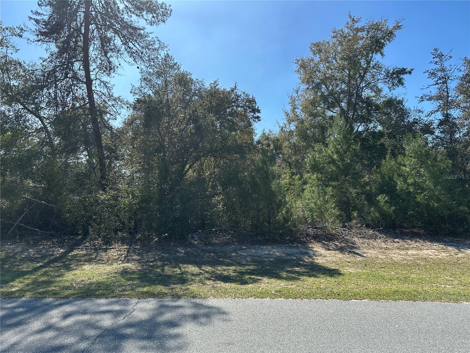 15812 SW 35TH COURT RD, OCALA, FL, 34473
