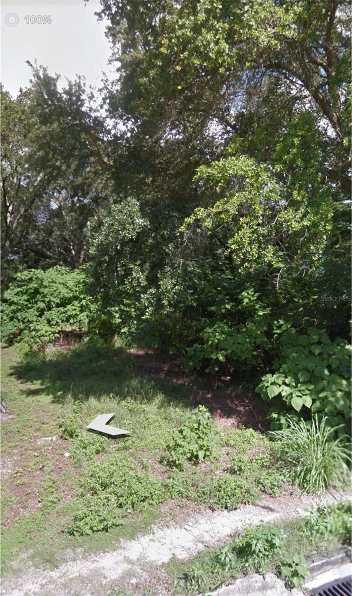 N OAKLAND ST, LEESBURG, FL, 34748