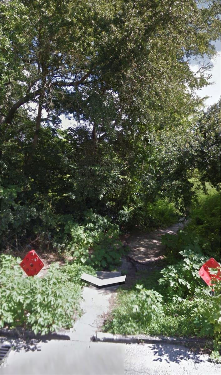 N OAKLAND ST, LEESBURG, FL, 34748