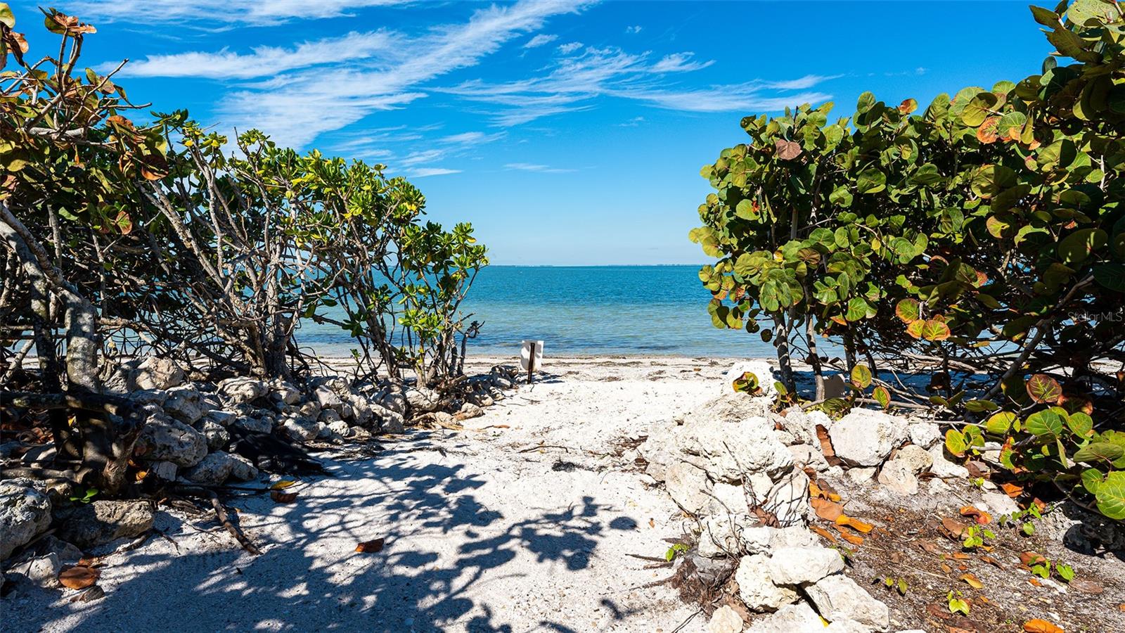 11 SUNSET DR #303, SARASOTA, FL, 34236