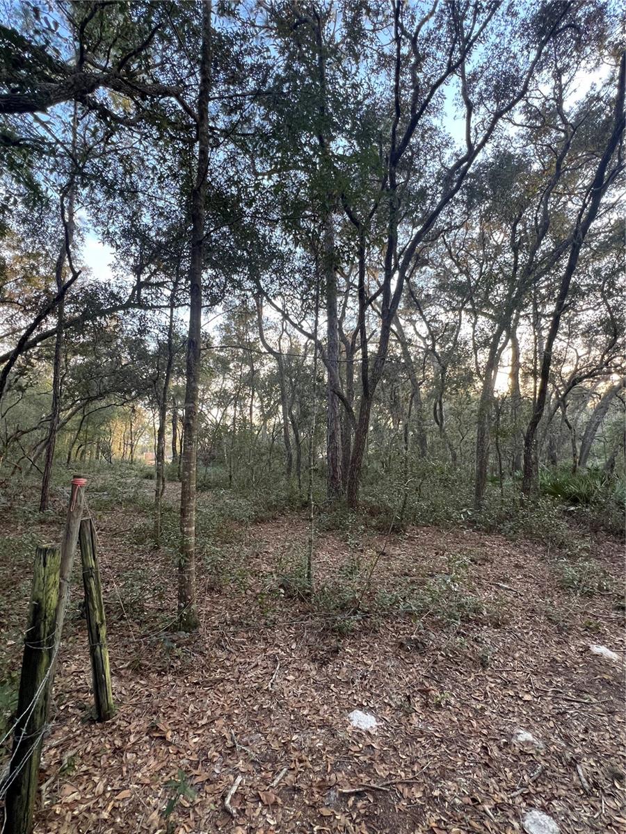 0000 SW 160TH ST, DUNNELLON, FL, 34432