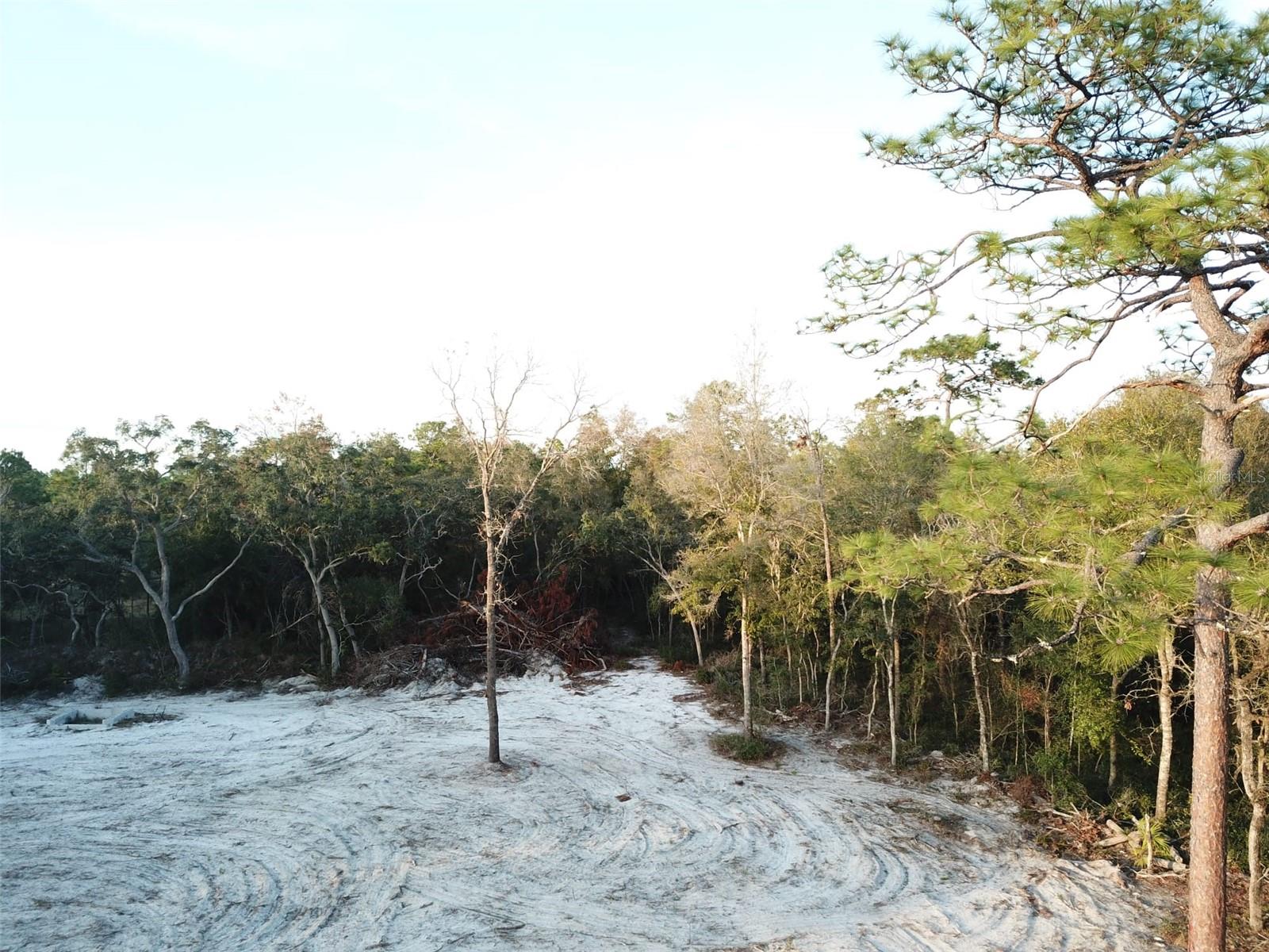 0000 SW 160TH ST, DUNNELLON, FL, 34432
