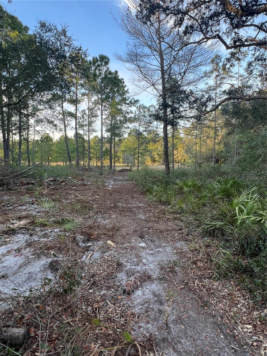 0000 SW 160TH ST, DUNNELLON, FL, 34432