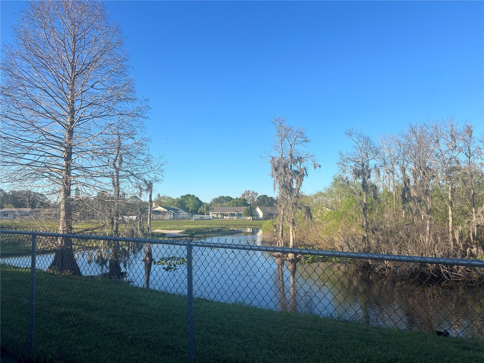 10800 CHERRY OAK CIR, ORLANDO, FL, 32817