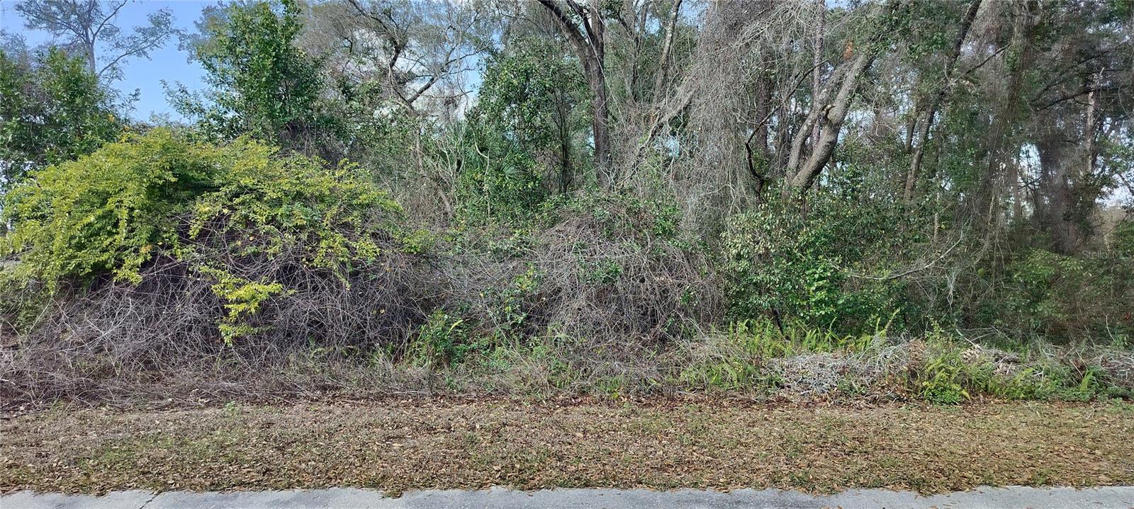 204 ADELPHI ST, INVERNESS, FL, 34452