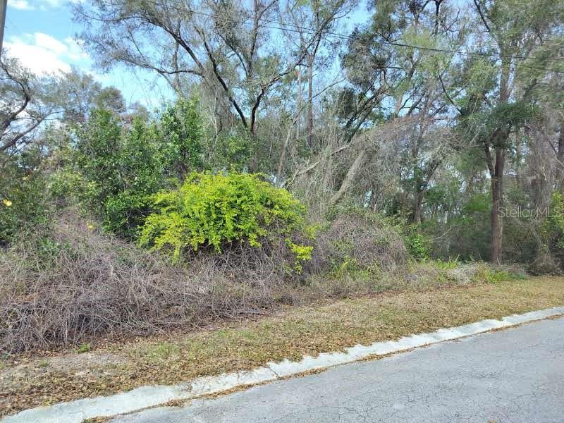 204 ADELPHI ST, INVERNESS, FL, 34452