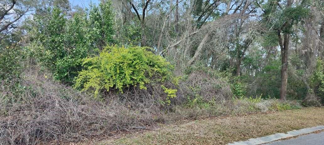 204 ADELPHI ST, INVERNESS, FL, 34452
