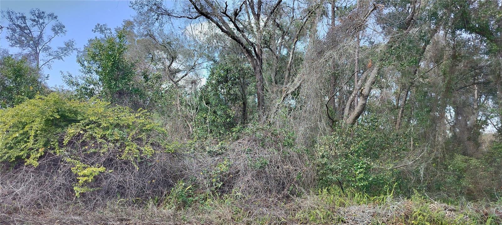 204 ADELPHI ST, INVERNESS, FL, 34452