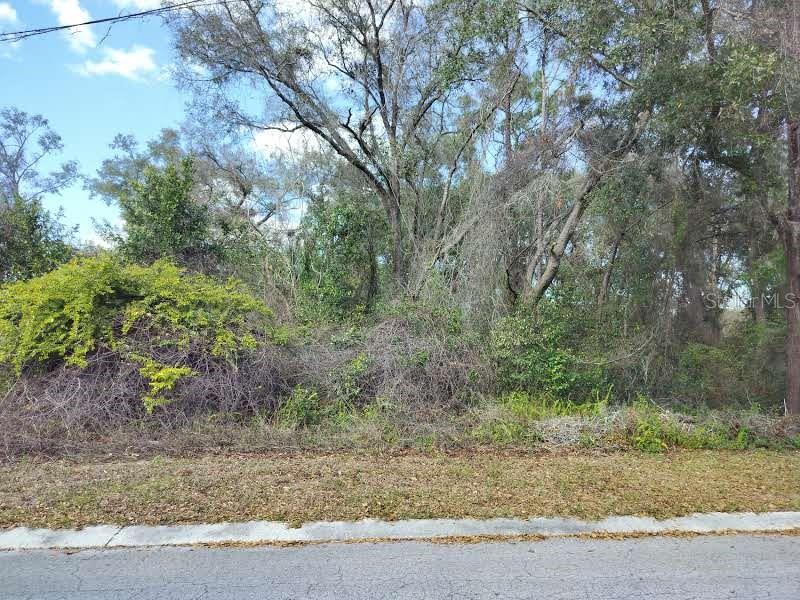 204 ADELPHI ST, INVERNESS, FL, 34452