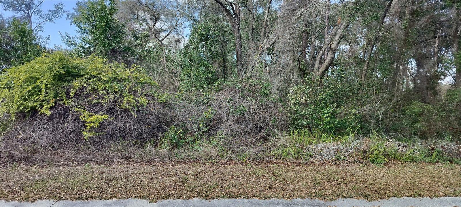204 ADELPHI ST, INVERNESS, FL, 34452