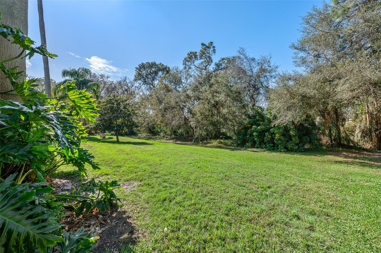 18908 FAIRWOOD CT, TAMPA, FL, 33647