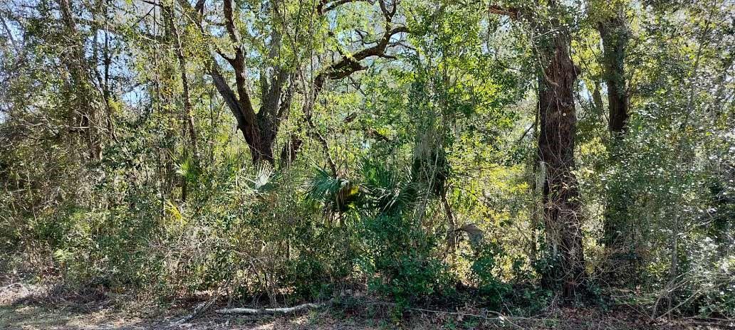 517 S SAVARY AVE, INVERNESS, FL, 34453
