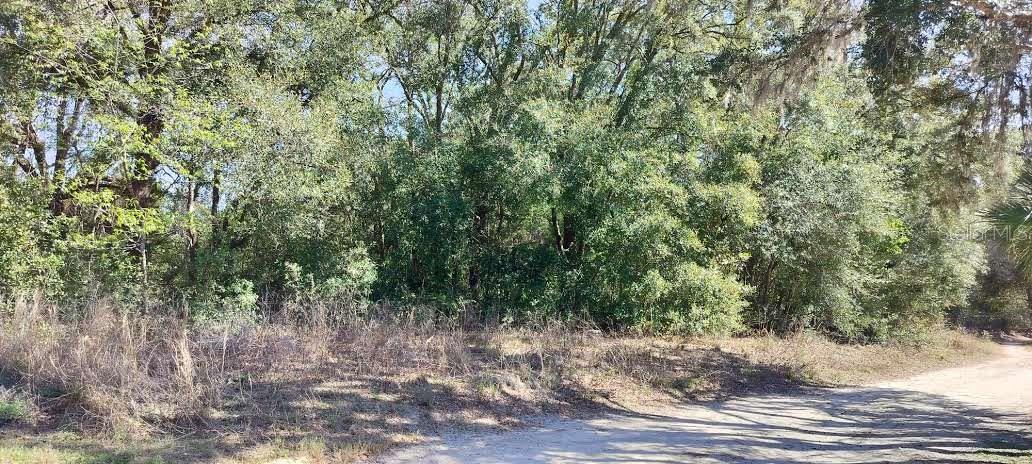 517 S SAVARY AVE, INVERNESS, FL, 34453