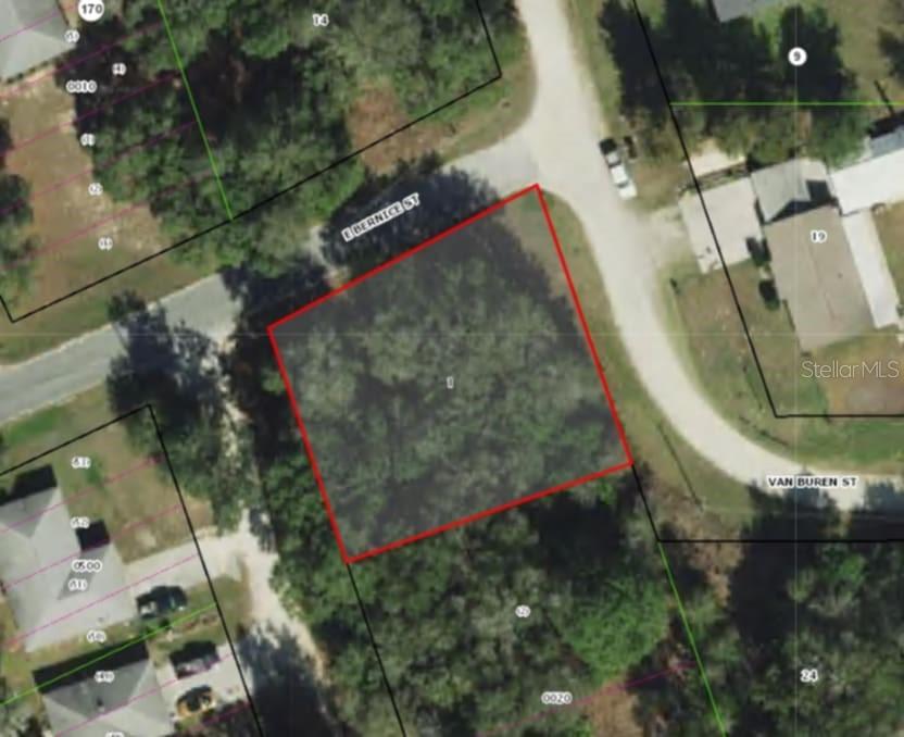 517 S SAVARY AVE, INVERNESS, FL, 34453