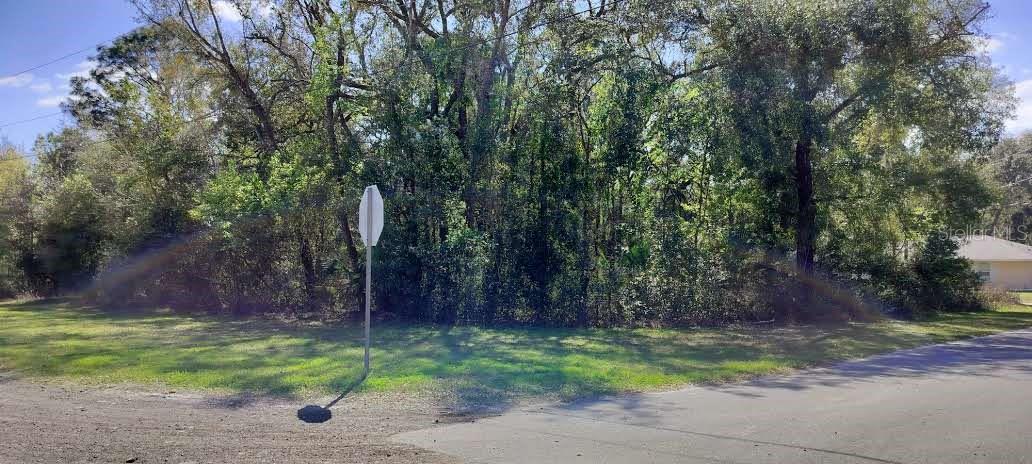 517 S SAVARY AVE, INVERNESS, FL, 34453