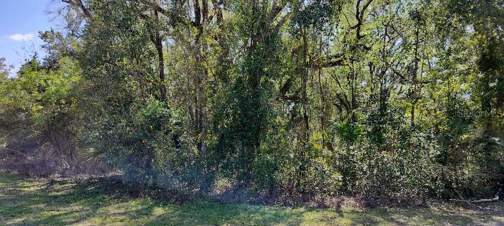 517 S SAVARY AVE, INVERNESS, FL, 34453