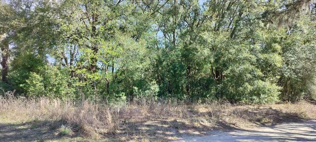 517 S SAVARY AVE, INVERNESS, FL, 34453