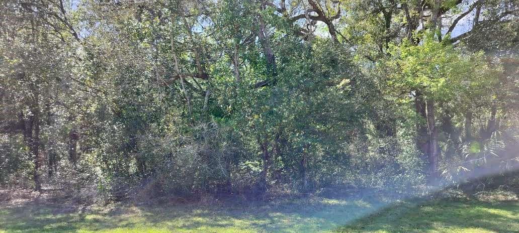 517 S SAVARY AVE, INVERNESS, FL, 34453