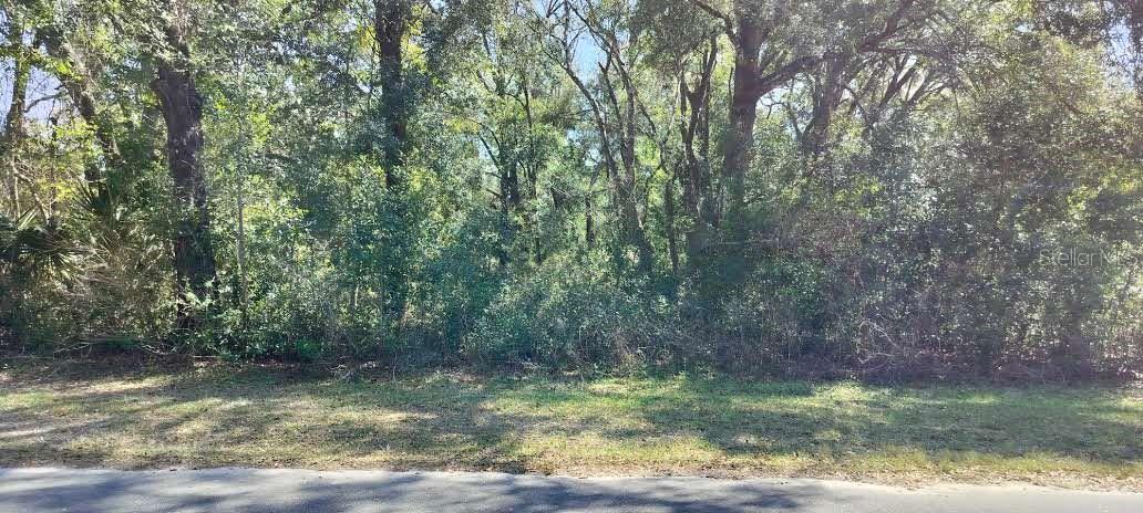 517 S SAVARY AVE, INVERNESS, FL, 34453