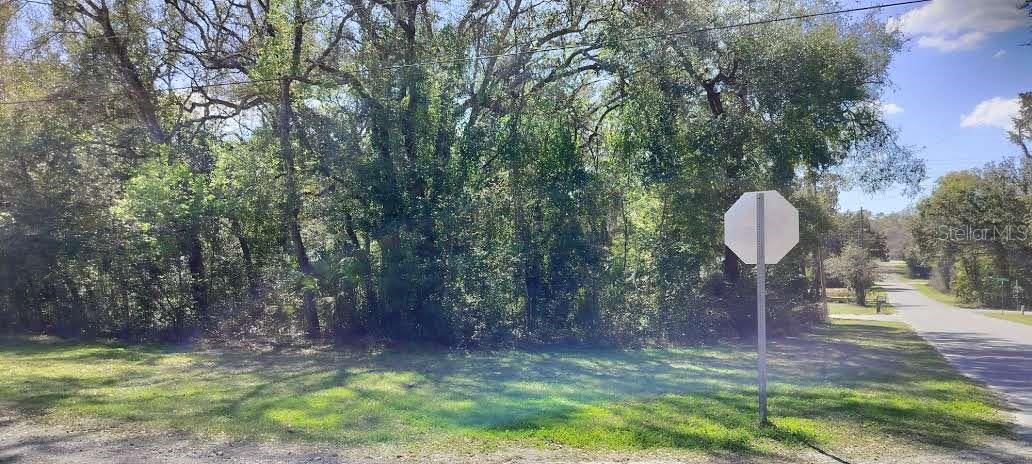 517 S SAVARY AVE, INVERNESS, FL, 34453