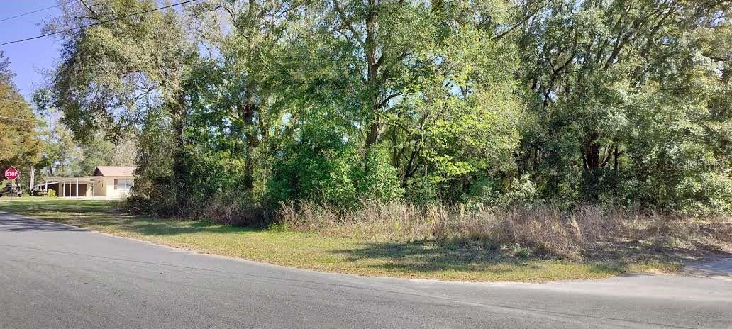 517 S SAVARY AVE, INVERNESS, FL, 34453
