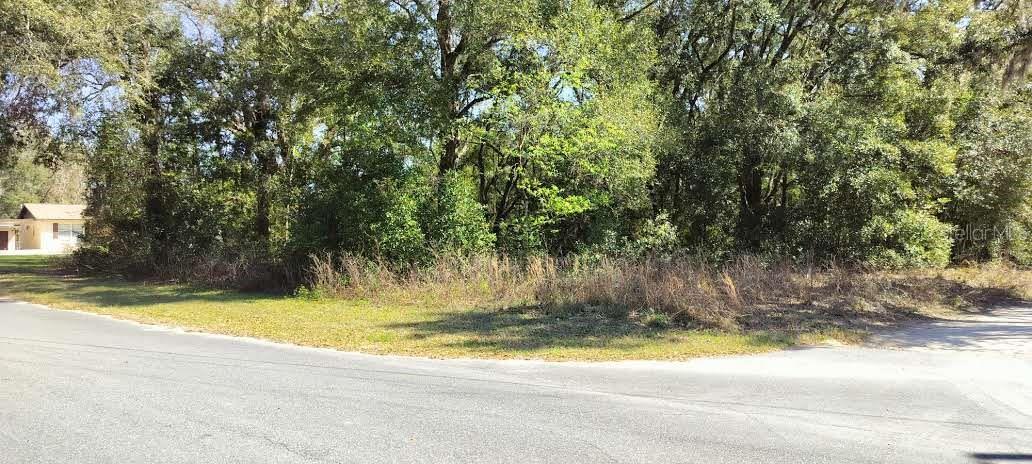 517 S SAVARY AVE, INVERNESS, FL, 34453