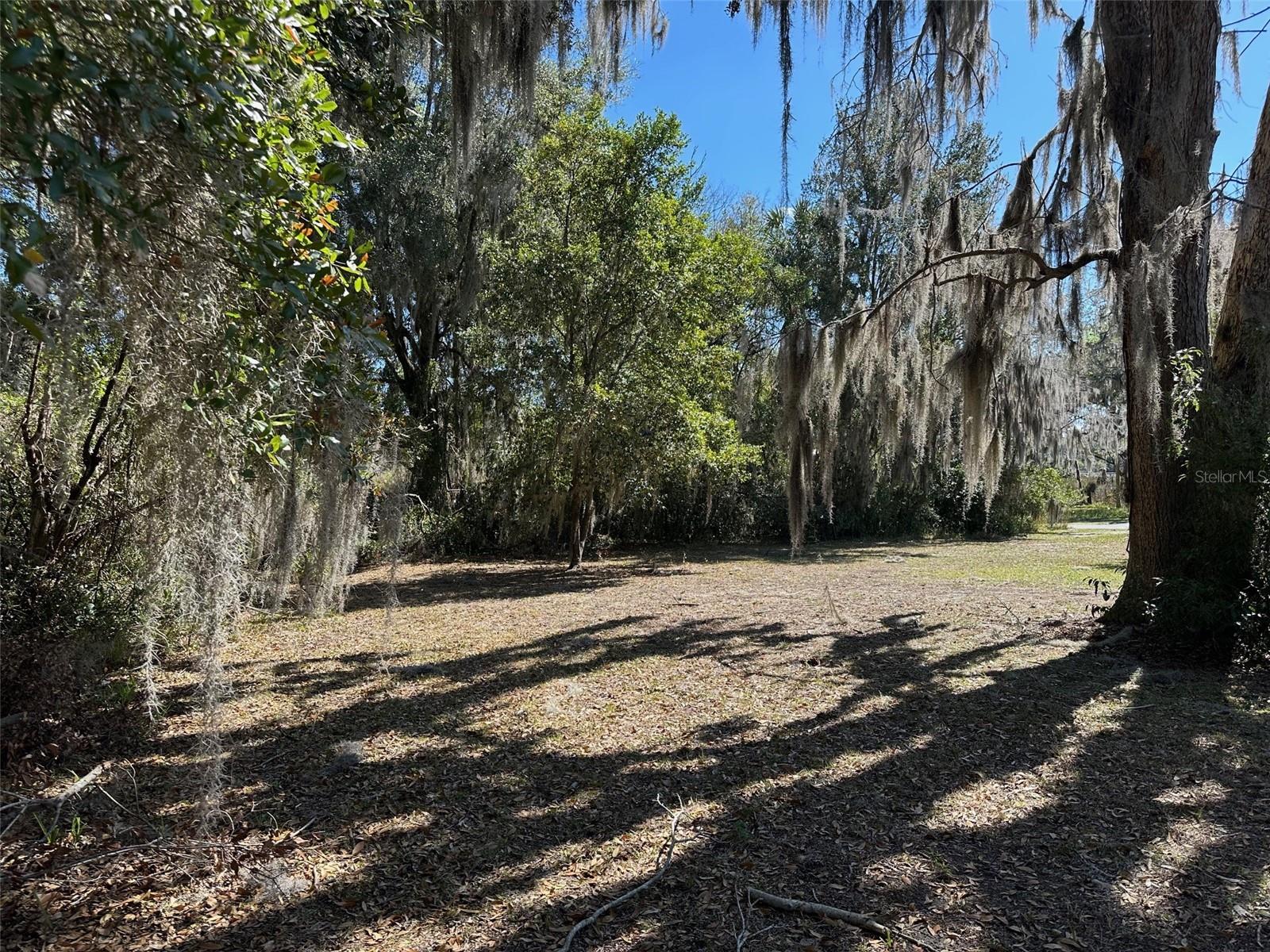 116 DR MARTIN LUTHER KING JR AVE, INVERNESS, FL, 34450
