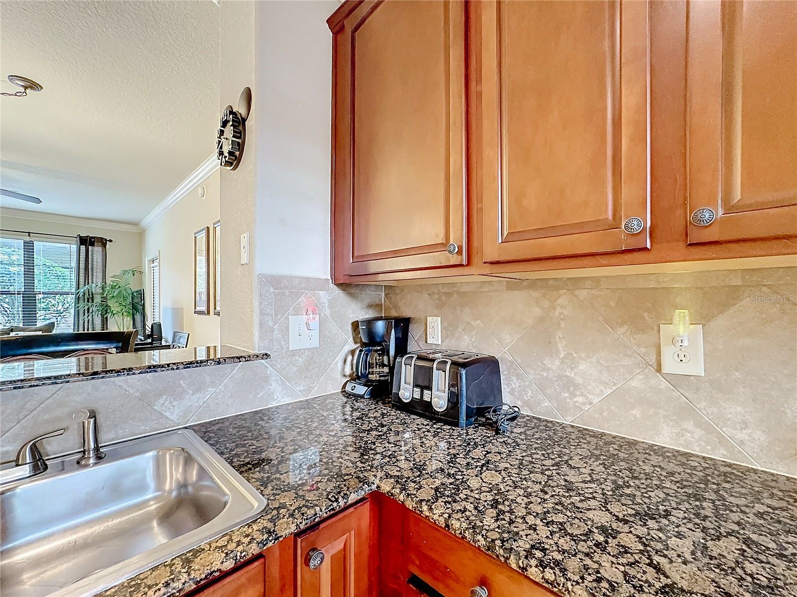 912 CHARO PKWY #214, DAVENPORT, FL, 33897
