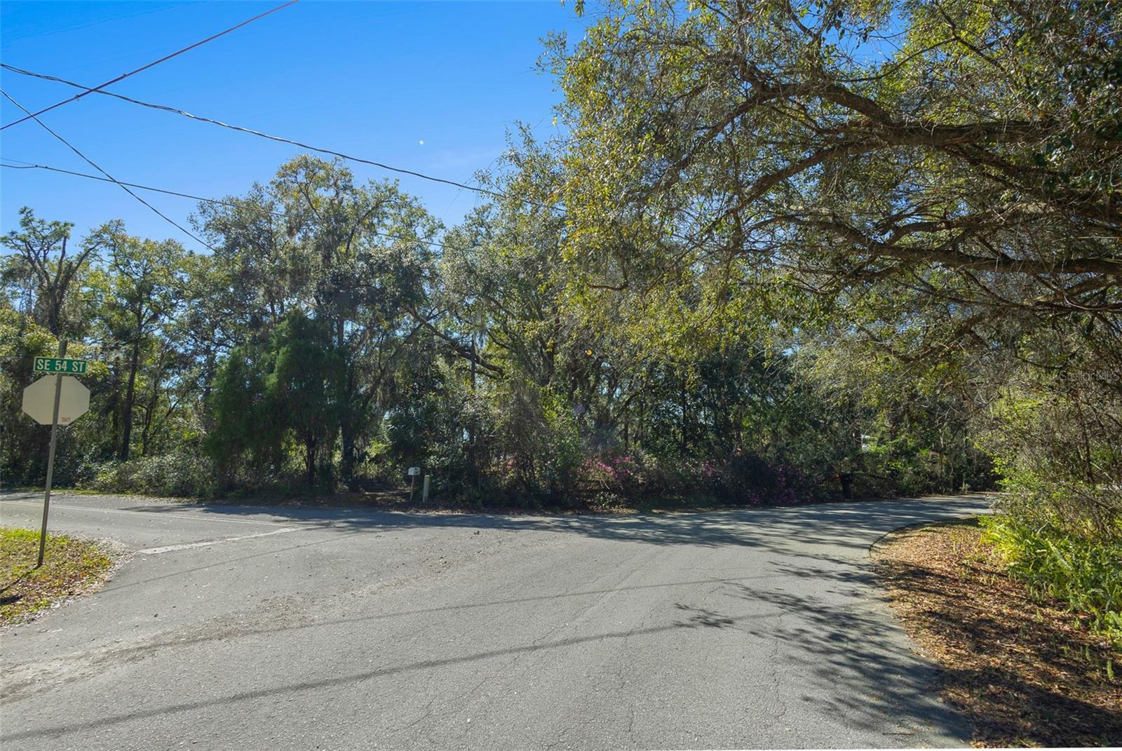 TBD SE 54TH ST, OCKLAWAHA, FL, 32179