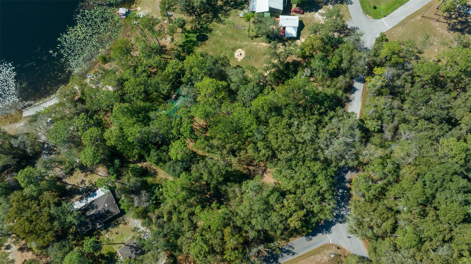 TBD SE 54TH ST, OCKLAWAHA, FL, 32179