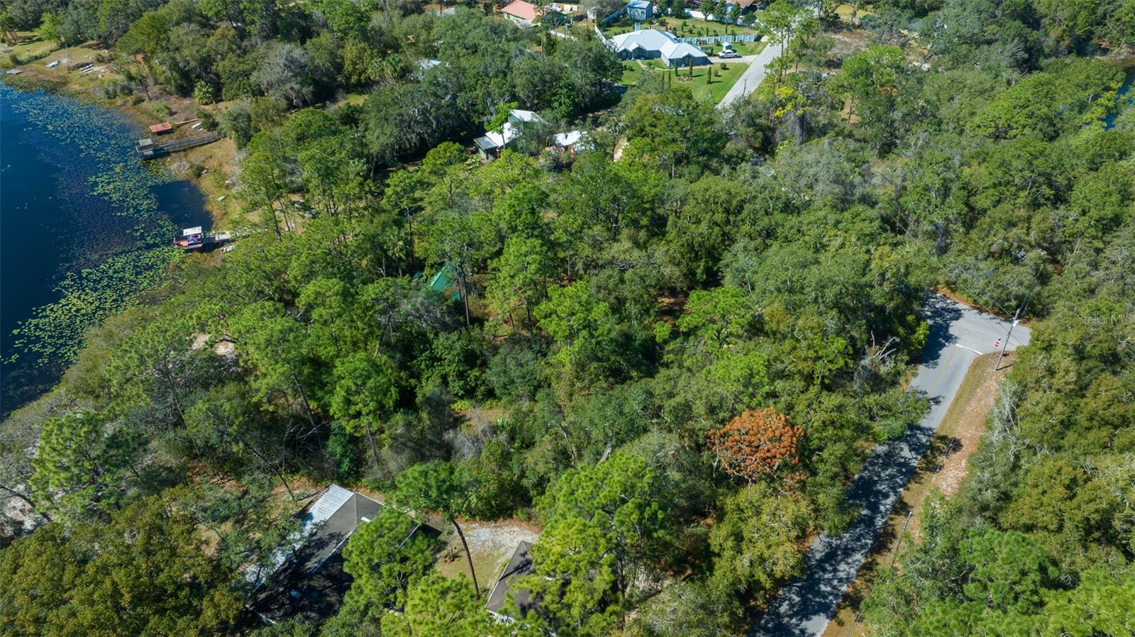 TBD SE 54TH ST, OCKLAWAHA, FL, 32179