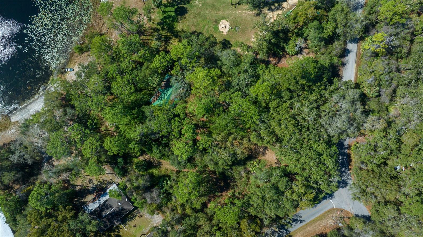 TBD SE 54TH ST, OCKLAWAHA, FL, 32179
