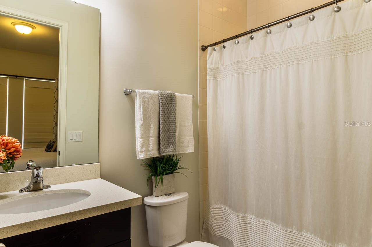 8784 PEACHTREE PARK CT, WINDERMERE, FL, 34786