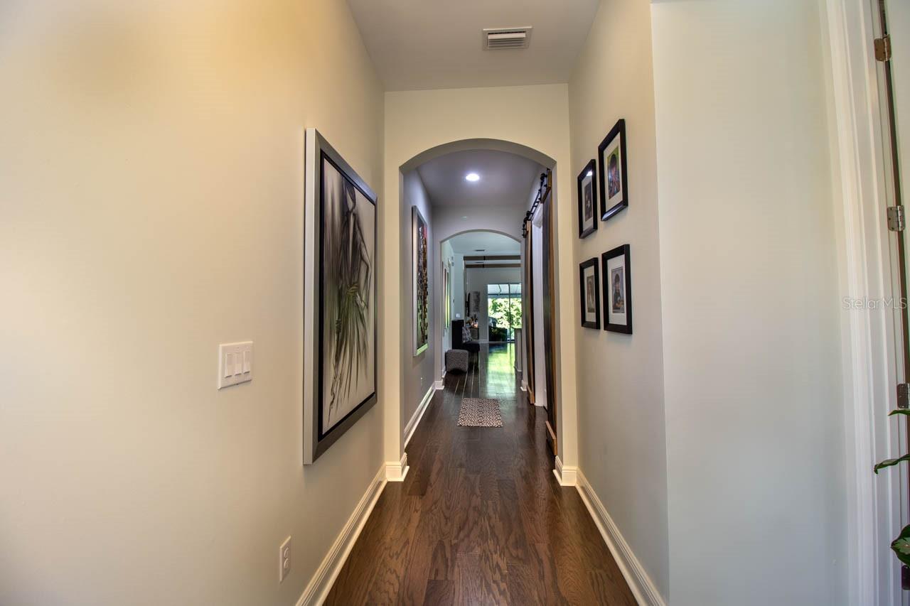 8784 PEACHTREE PARK CT, WINDERMERE, FL, 34786