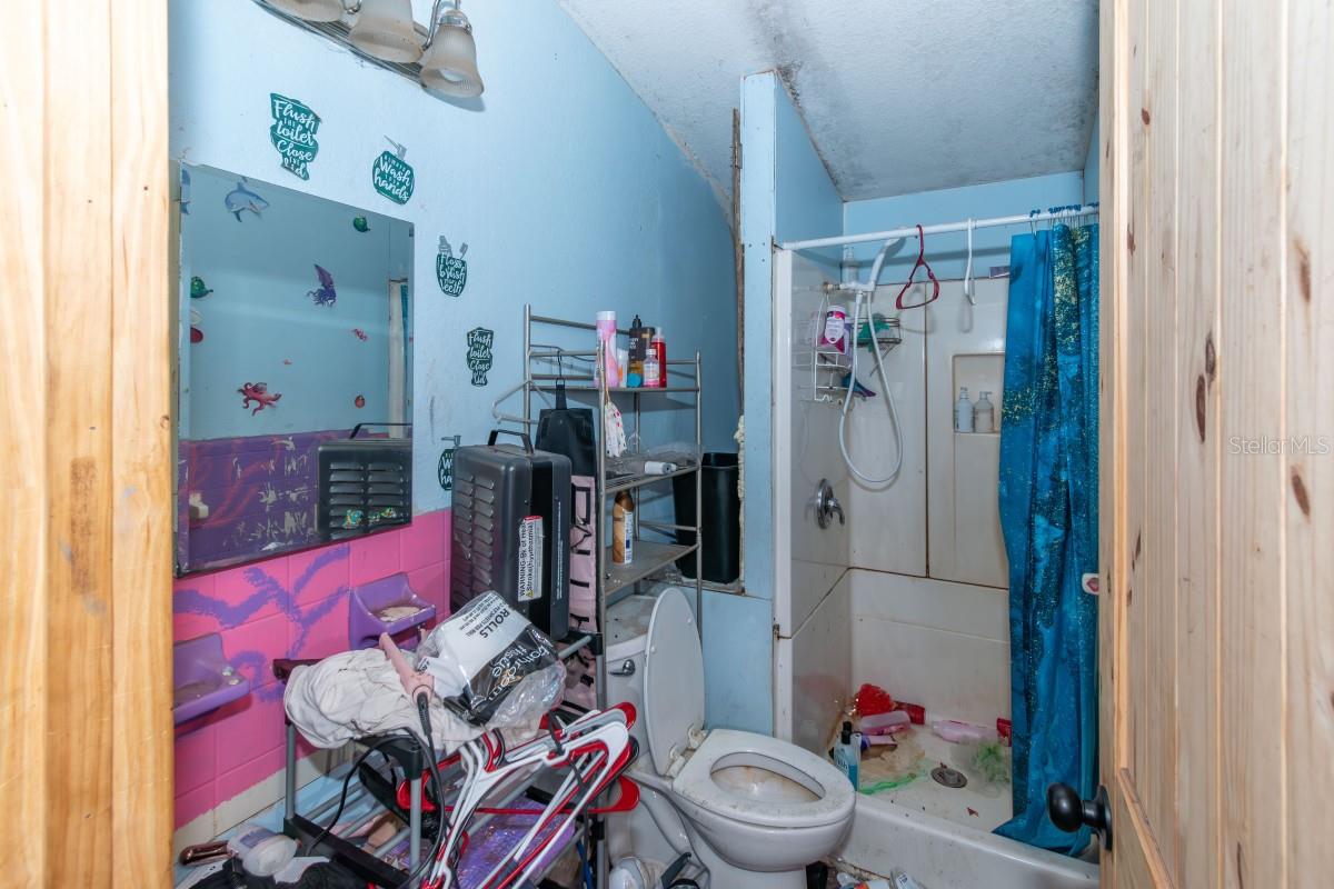 20800 SE 142ND LN, UMATILLA, FL, 32784