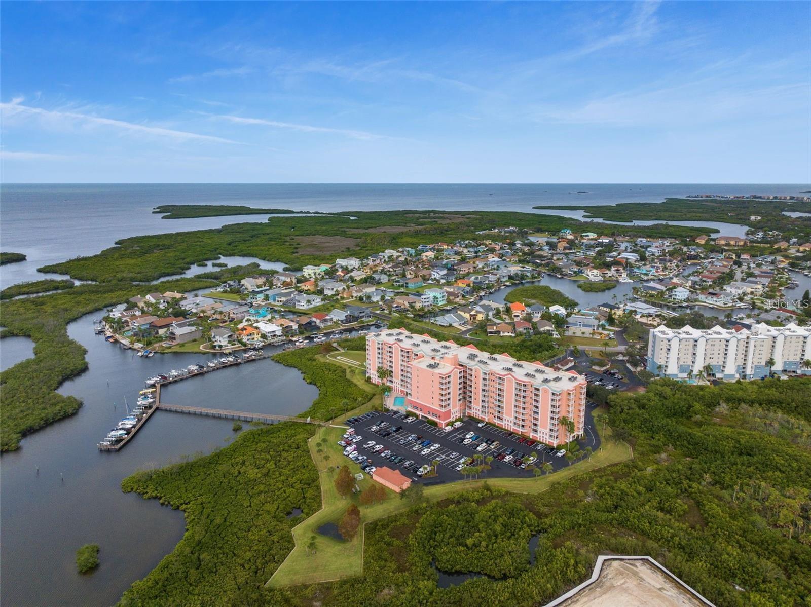 4516 SEAGULL DR #614, NEW PORT RICHEY, FL, 34652