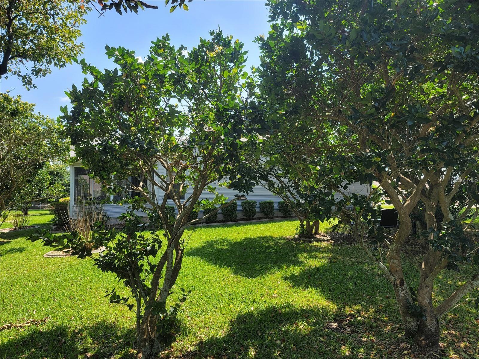 1317 JIMENEZ CT, LADY LAKE, FL, 32159