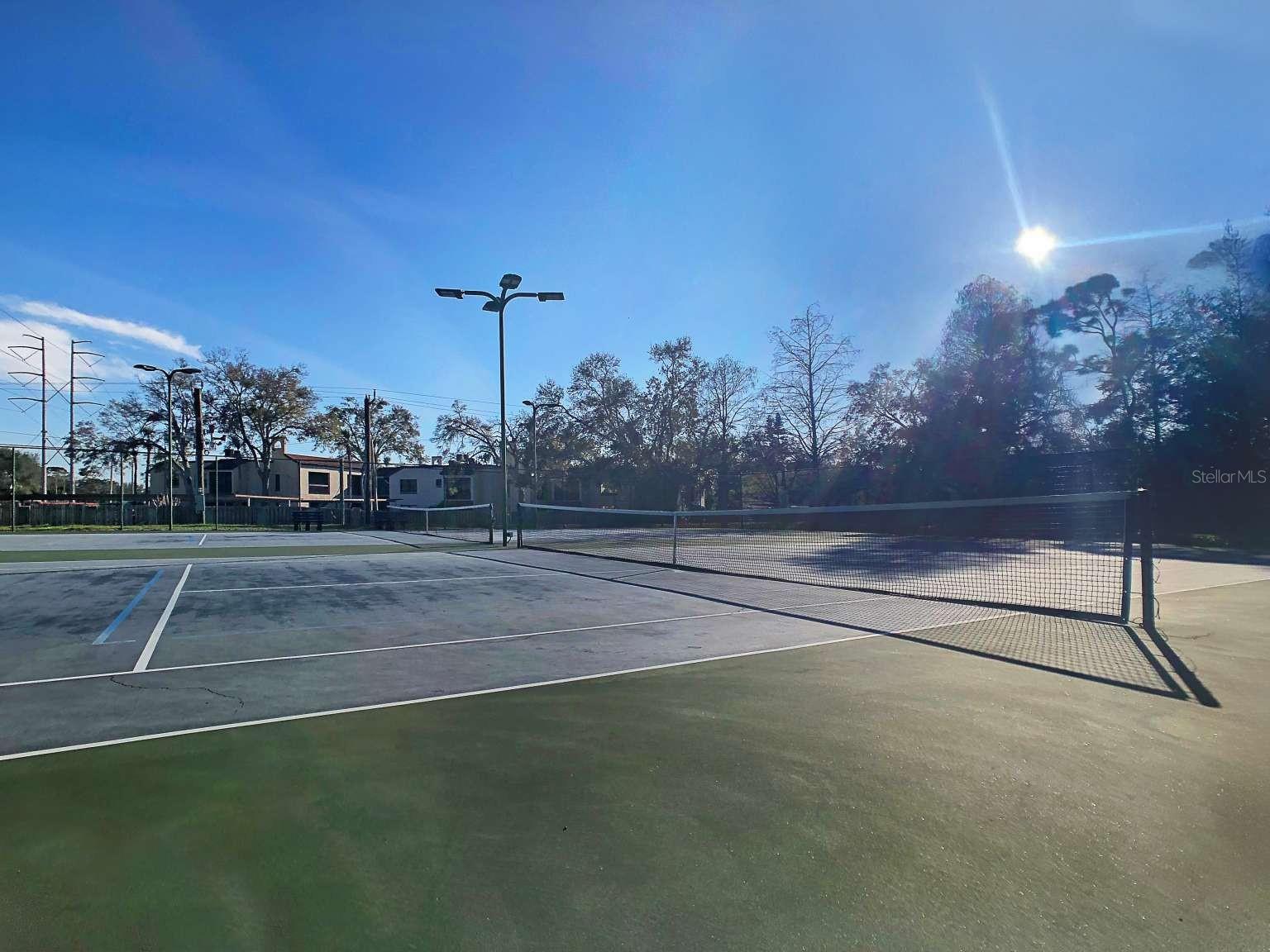 2999 PEPPERWOOD LN W, CLEARWATER, FL, 33761