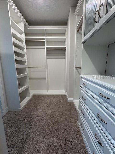 17792 ADRIFT RD, WINTER GARDEN, FL, 34787